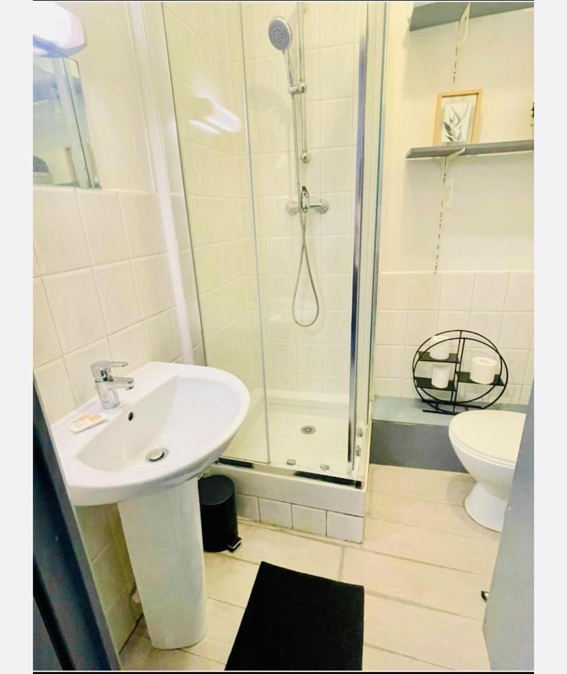 Studio Entier 1 Piece Et Salle De Bain Lille Eksteriør billede